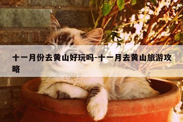 十一月份去黄山好玩吗-十一月去黄山旅游攻略-第1张图片-优惠活动网 十一月份去黄山好玩吗-十一月去黄山旅游攻略-第1张图片-优惠活动网