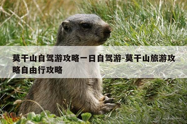 莫干山自驾游攻略一日自驾游-莫干山旅游攻略自由行攻略-第1张图片-优惠活动网