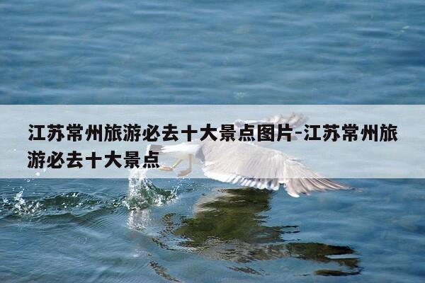 江苏常州旅游必去十大景点图片-江苏常州旅游必去十大景点-第1张图片-优惠活动网 江苏常州旅游必去十大景点图片-江苏常州旅游必去十大景点-第1张图片-优惠活动网