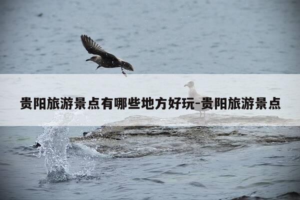贵阳旅游景点有哪些地方好玩-贵阳旅游景点-第1张图片-优惠活动网 贵阳旅游景点有哪些地方好玩-贵阳旅游景点-第1张图片-优惠活动网