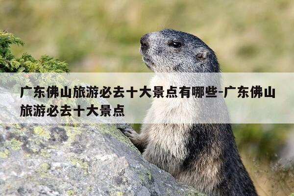 广东佛山旅游必去十大景点有哪些-广东佛山旅游必去十大景点-第1张图片-优惠活动网 广东佛山旅游必去十大景点有哪些-广东佛山旅游必去十大景点-第1张图片-优惠活动网