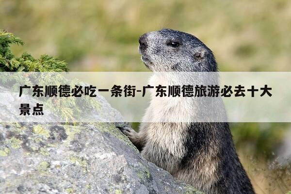 广东顺德必吃一条街-广东顺德旅游必去十大景点-第1张图片-优惠活动网 广东顺德必吃一条街-广东顺德旅游必去十大景点-第1张图片-优惠活动网