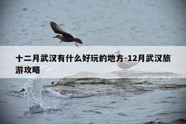 十二月武汉有什么好玩的地方-12月武汉旅游攻略-第1张图片-优惠活动网 十二月武汉有什么好玩的地方-12月武汉旅游攻略-第1张图片-优惠活动网