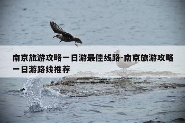 南京旅游攻略一日游最佳线路-南京旅游攻略一日游路线推荐-第1张图片-优惠活动网 南京旅游攻略一日游最佳线路-南京旅游攻略一日游路线推荐-第1张图片-优惠活动网
