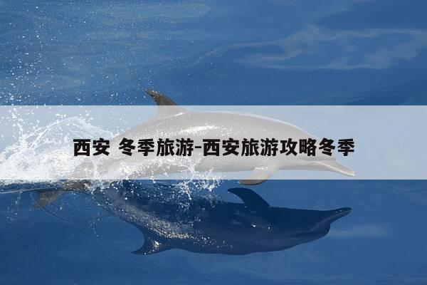 西安 冬季旅游-西安旅游攻略冬季-第1张图片-优惠活动网 西安 冬季旅游-西安旅游攻略冬季-第1张图片-优惠活动网