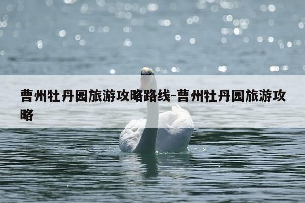 曹州牡丹园旅游攻略路线-曹州牡丹园旅游攻略-第1张图片-优惠活动网 曹州牡丹园旅游攻略路线-曹州牡丹园旅游攻略-第1张图片-优惠活动网