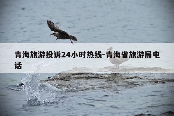 青海旅游投诉24小时热线-青海省旅游局电话-第1张图片-优惠活动网 青海旅游投诉24小时热线-青海省旅游局电话-第1张图片-优惠活动网