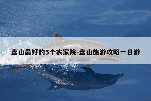 盘山最好的5个农家院-盘山旅游攻略一日游-第1张图片-优惠活动网 盘山最好的5个农家院-盘山旅游攻略一日游-第1张图片-优惠活动网