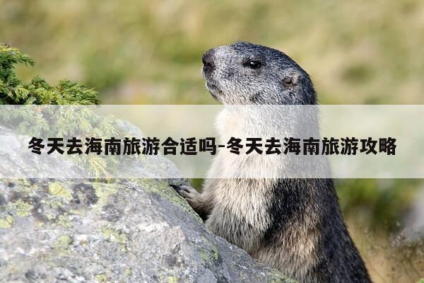 冬天去海南旅游合适吗-冬天去海南旅游攻略-第1张图片-优惠活动网 冬天去海南旅游合适吗-冬天去海南旅游攻略-第1张图片-优惠活动网