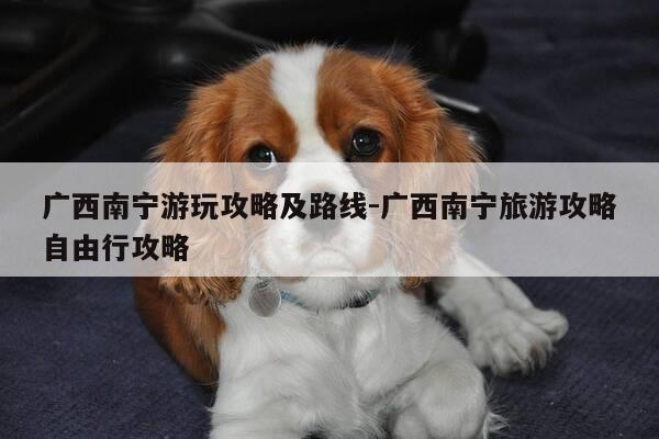 广西南宁游玩攻略及路线-广西南宁旅游攻略自由行攻略-第1张图片-优惠活动网 广西南宁游玩攻略及路线-广西南宁旅游攻略自由行攻略-第1张图片-优惠活动网