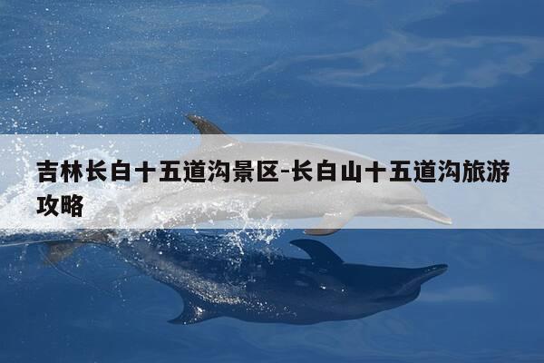 吉林长白十五道沟景区-长白山十五道沟旅游攻略-第1张图片-优惠活动网 吉林长白十五道沟景区-长白山十五道沟旅游攻略-第1张图片-优惠活动网