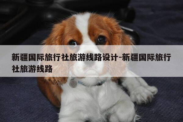 新疆国际旅行社旅游线路设计-新疆国际旅行社旅游线路-第1张图片-优惠活动网 新疆国际旅行社旅游线路设计-新疆国际旅行社旅游线路-第1张图片-优惠活动网