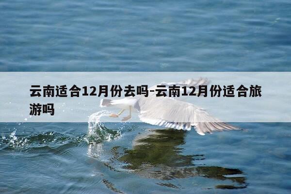 云南适合12月份去吗-云南12月份适合旅游吗-第1张图片-优惠活动网 云南适合12月份去吗-云南12月份适合旅游吗-第1张图片-优惠活动网