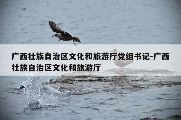 广西壮族自治区文化和旅游厅党组书记-广西壮族自治区文化和旅游厅-第1张图片-优惠活动网 广西壮族自治区文化和旅游厅党组书记-广西壮族自治区文化和旅游厅-第1张图片-优惠活动网