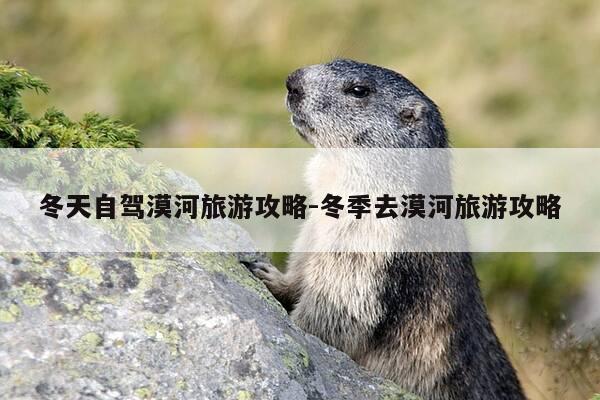 冬天自驾漠河旅游攻略-冬季去漠河旅游攻略-第1张图片-优惠活动网 冬天自驾漠河旅游攻略-冬季去漠河旅游攻略-第1张图片-优惠活动网