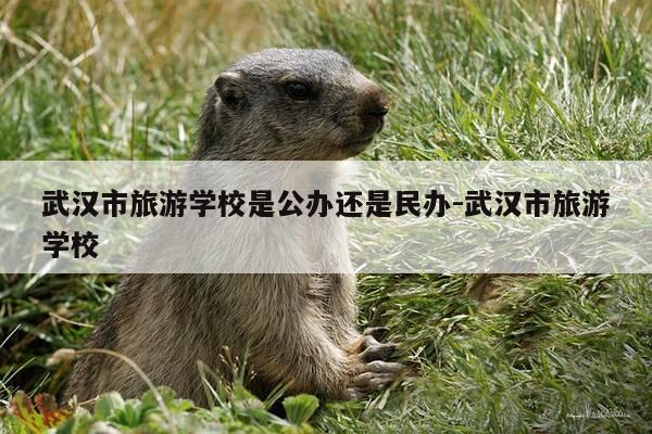 武汉市旅游学校是公办还是民办-武汉市旅游学校-第1张图片-优惠活动网 武汉市旅游学校是公办还是民办-武汉市旅游学校-第1张图片-优惠活动网