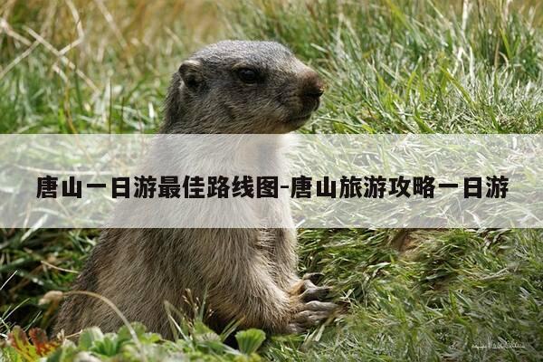 唐山一日游最佳路线图-唐山旅游攻略一日游-第1张图片-优惠活动网 唐山一日游最佳路线图-唐山旅游攻略一日游-第1张图片-优惠活动网