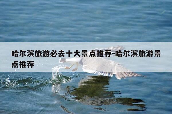哈尔滨旅游必去十大景点推荐-哈尔滨旅游景点推荐-第1张图片-优惠活动网 哈尔滨旅游必去十大景点推荐-哈尔滨旅游景点推荐-第1张图片-优惠活动网