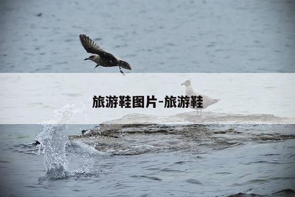 旅游鞋图片-旅游鞋-第1张图片-优惠活动网 旅游鞋图片-旅游鞋-第1张图片-优惠活动网