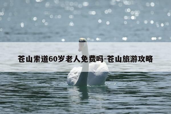 苍山索道60岁老人免费吗-苍山旅游攻略-第1张图片-优惠活动网