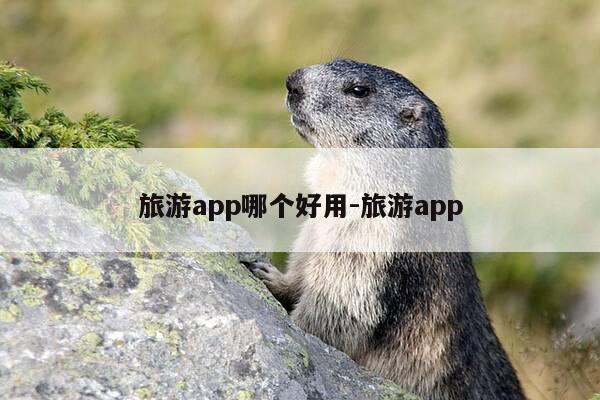 旅游app哪个好用-旅游app-第1张图片-优惠活动网 旅游app哪个好用-旅游app-第1张图片-优惠活动网