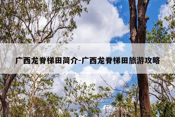 广西龙脊梯田简介-广西龙脊梯田旅游攻略-第1张图片-优惠活动网 广西龙脊梯田简介-广西龙脊梯田旅游攻略-第1张图片-优惠活动网