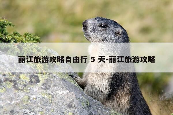 丽江旅游攻略自由行 5 天-丽江旅游攻略-第1张图片-优惠活动网