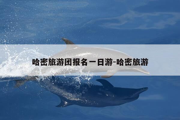 哈密旅游团报名一日游-哈密旅游-第1张图片-优惠活动网 哈密旅游团报名一日游-哈密旅游-第1张图片-优惠活动网