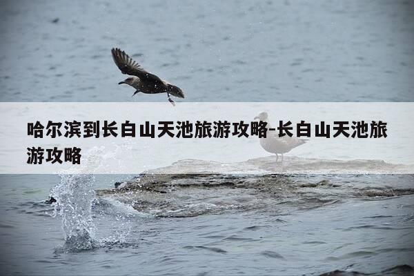 哈尔滨到长白山天池旅游攻略-长白山天池旅游攻略-第1张图片-优惠活动网 哈尔滨到长白山天池旅游攻略-长白山天池旅游攻略-第1张图片-优惠活动网