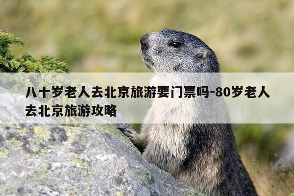 八十岁老人去北京旅游要门票吗-80岁老人去北京旅游攻略-第1张图片-优惠活动网 八十岁老人去北京旅游要门票吗-80岁老人去北京旅游攻略-第1张图片-优惠活动网