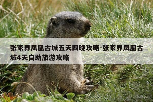张家界凤凰古城五天四晚攻略-张家界凤凰古城4天自助旅游攻略-第1张图片-优惠活动网 张家界凤凰古城五天四晚攻略-张家界凤凰古城4天自助旅游攻略-第1张图片-优惠活动网