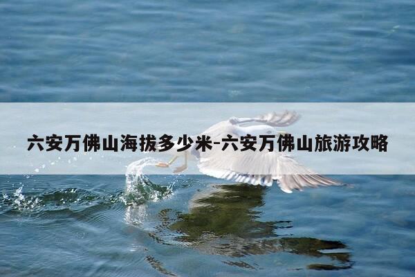 六安万佛山海拔多少米-六安万佛山旅游攻略-第1张图片-优惠活动网 六安万佛山海拔多少米-六安万佛山旅游攻略-第1张图片-优惠活动网