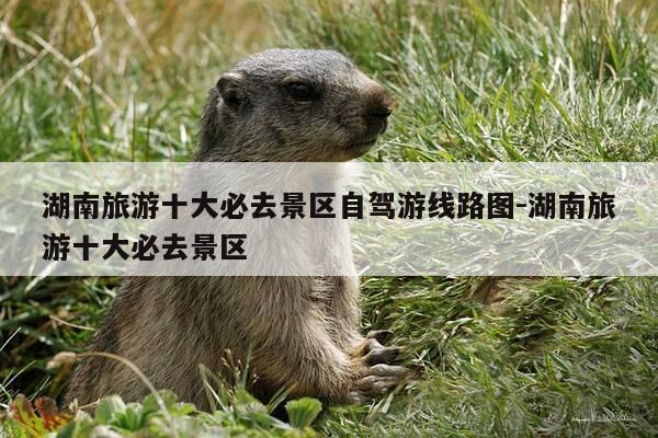湖南旅游十大必去景区自驾游线路图-湖南旅游十大必去景区-第1张图片-优惠活动网 湖南旅游十大必去景区自驾游线路图-湖南旅游十大必去景区-第1张图片-优惠活动网