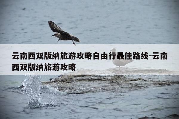 云南西双版纳旅游攻略自由行最佳路线-云南西双版纳旅游攻略-第1张图片-优惠活动网 云南西双版纳旅游攻略自由行最佳路线-云南西双版纳旅游攻略-第1张图片-优惠活动网