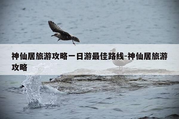 神仙居旅游攻略一日游最佳路线-神仙居旅游攻略-第1张图片-优惠活动网 神仙居旅游攻略一日游最佳路线-神仙居旅游攻略-第1张图片-优惠活动网