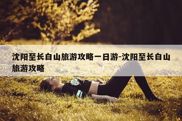 沈阳至长白山旅游攻略一日游-沈阳至长白山旅游攻略-第1张图片-优惠活动网 沈阳至长白山旅游攻略一日游-沈阳至长白山旅游攻略-第1张图片-优惠活动网