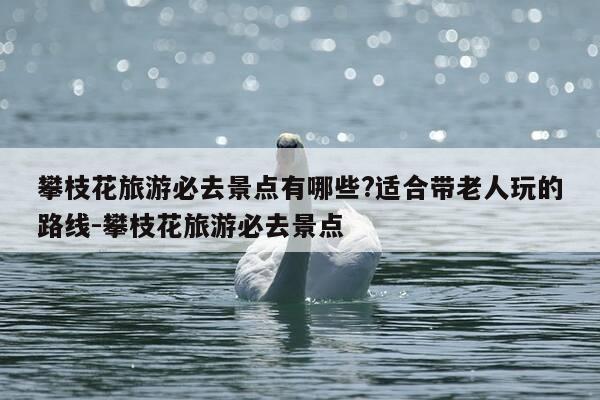 攀枝花旅游必去景点有哪些?适合带老人玩的路线-攀枝花旅游必去景点-第1张图片-优惠活动网 攀枝花旅游必去景点有哪些?适合带老人玩的路线-攀枝花旅游必去景点-第1张图片-优惠活动网