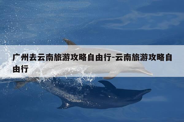广州去云南旅游攻略自由行-云南旅游攻略自由行-第1张图片-优惠活动网 广州去云南旅游攻略自由行-云南旅游攻略自由行-第1张图片-优惠活动网