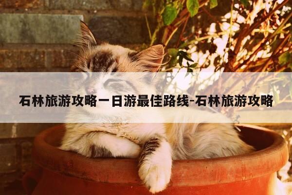 石林旅游攻略一日游最佳路线-石林旅游攻略-第1张图片-优惠活动网 石林旅游攻略一日游最佳路线-石林旅游攻略-第1张图片-优惠活动网