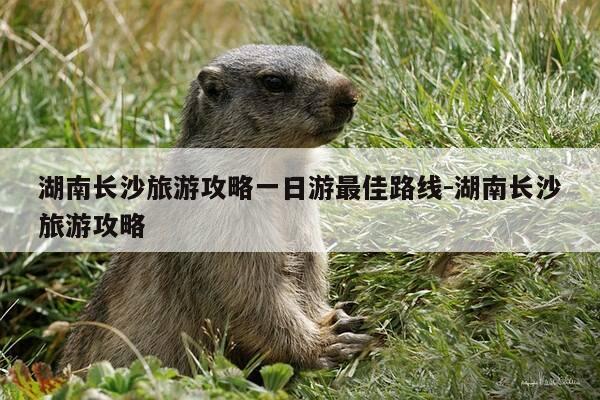 湖南长沙旅游攻略一日游最佳路线-湖南长沙旅游攻略-第1张图片-优惠活动网 湖南长沙旅游攻略一日游最佳路线-湖南长沙旅游攻略-第1张图片-优惠活动网