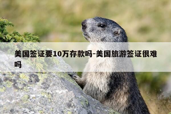 美国签证要10万存款吗-美国旅游签证很难吗-第1张图片-优惠活动网 美国签证要10万存款吗-美国旅游签证很难吗-第1张图片-优惠活动网