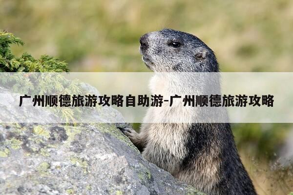 广州顺德旅游攻略自助游-广州顺德旅游攻略-第1张图片-优惠活动网 广州顺德旅游攻略自助游-广州顺德旅游攻略-第1张图片-优惠活动网