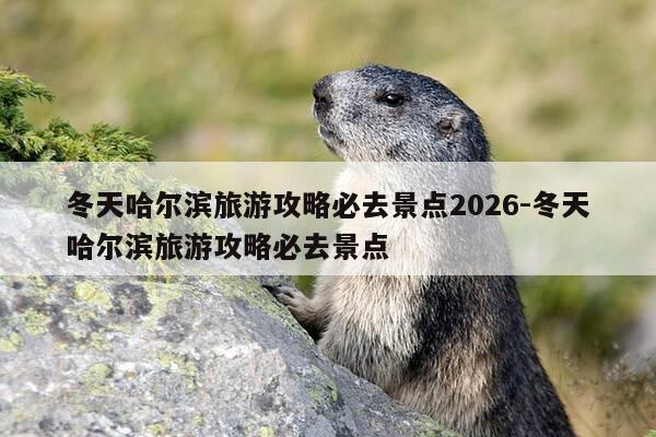 冬天哈尔滨旅游攻略必去景点2026-冬天哈尔滨旅游攻略必去景点-第1张图片-优惠活动网 冬天哈尔滨旅游攻略必去景点2026-冬天哈尔滨旅游攻略必去景点-第1张图片-优惠活动网