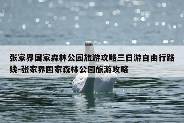 张家界国家森林公园旅游攻略三日游自由行路线-张家界国家森林公园旅游攻略-第1张图片-优惠活动网 张家界国家森林公园旅游攻略三日游自由行路线-张家界国家森林公园旅游攻略-第1张图片-优惠活动网