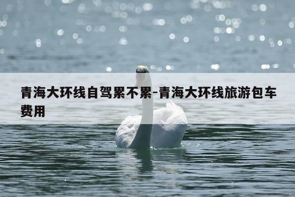 青海大环线自驾累不累-青海大环线旅游包车费用-第1张图片-优惠活动网 青海大环线自驾累不累-青海大环线旅游包车费用-第1张图片-优惠活动网
