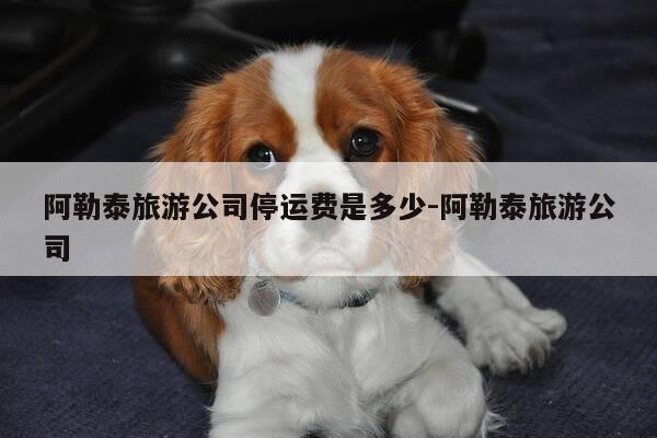 阿勒泰旅游公司停运费是多少-阿勒泰旅游公司-第1张图片-优惠活动网 阿勒泰旅游公司停运费是多少-阿勒泰旅游公司-第1张图片-优惠活动网