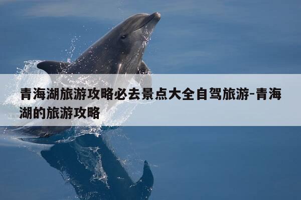 青海湖旅游攻略必去景点大全自驾旅游-青海湖的旅游攻略-第1张图片-优惠活动网