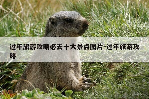 过年旅游攻略必去十大景点图片-过年旅游攻略-第1张图片-优惠活动网