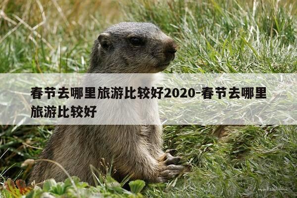 春节去哪里旅游比较好2020-春节去哪里旅游比较好-第1张图片-优惠活动网