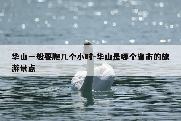 华山一般要爬几个小时-华山是哪个省市的旅游景点-第1张图片-优惠活动网 华山一般要爬几个小时-华山是哪个省市的旅游景点-第1张图片-优惠活动网